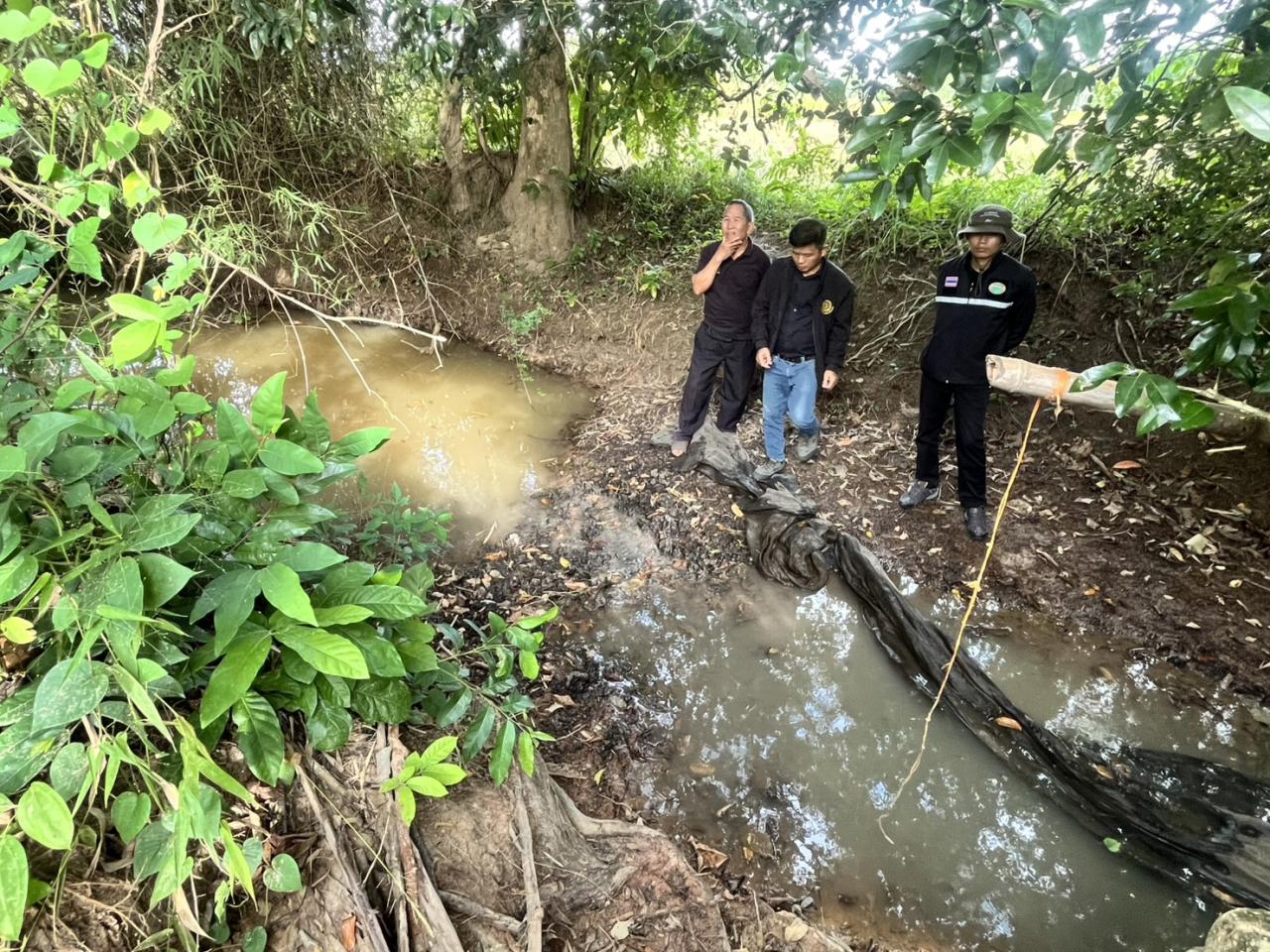 ภาพประกอบที่ 3