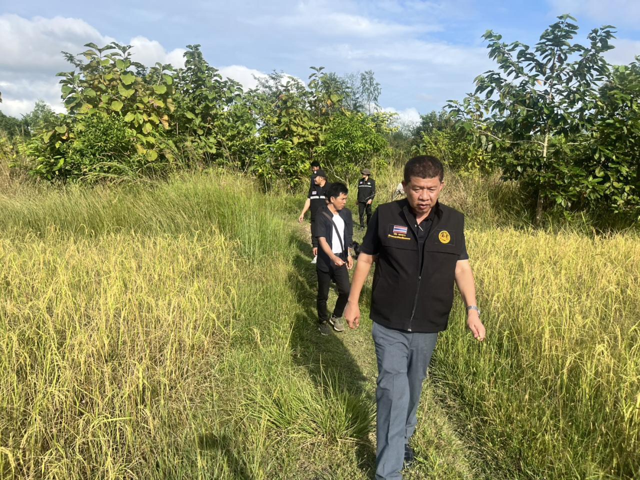 ภาพประกอบที่ 7