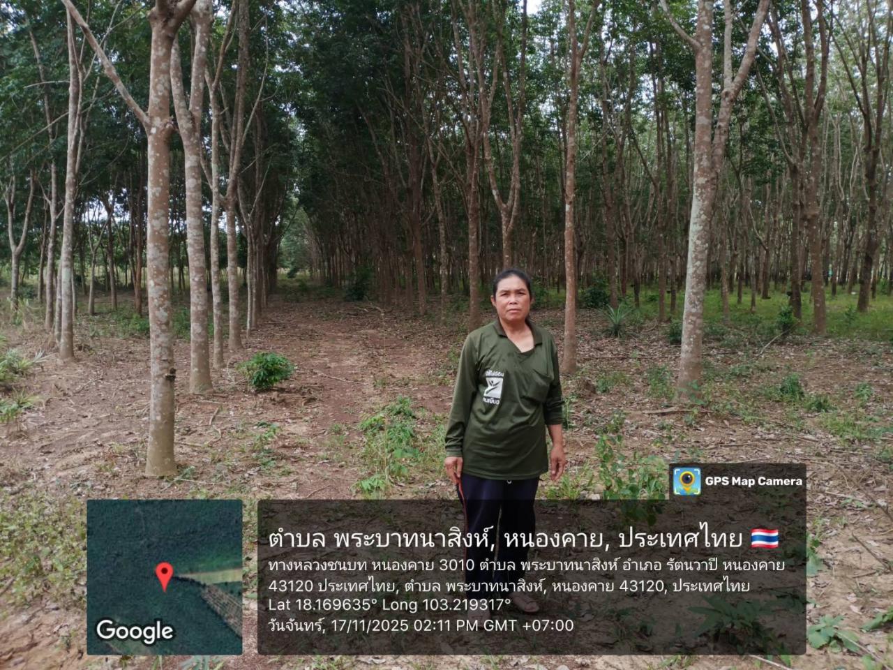 ภาพประกอบที่ 7