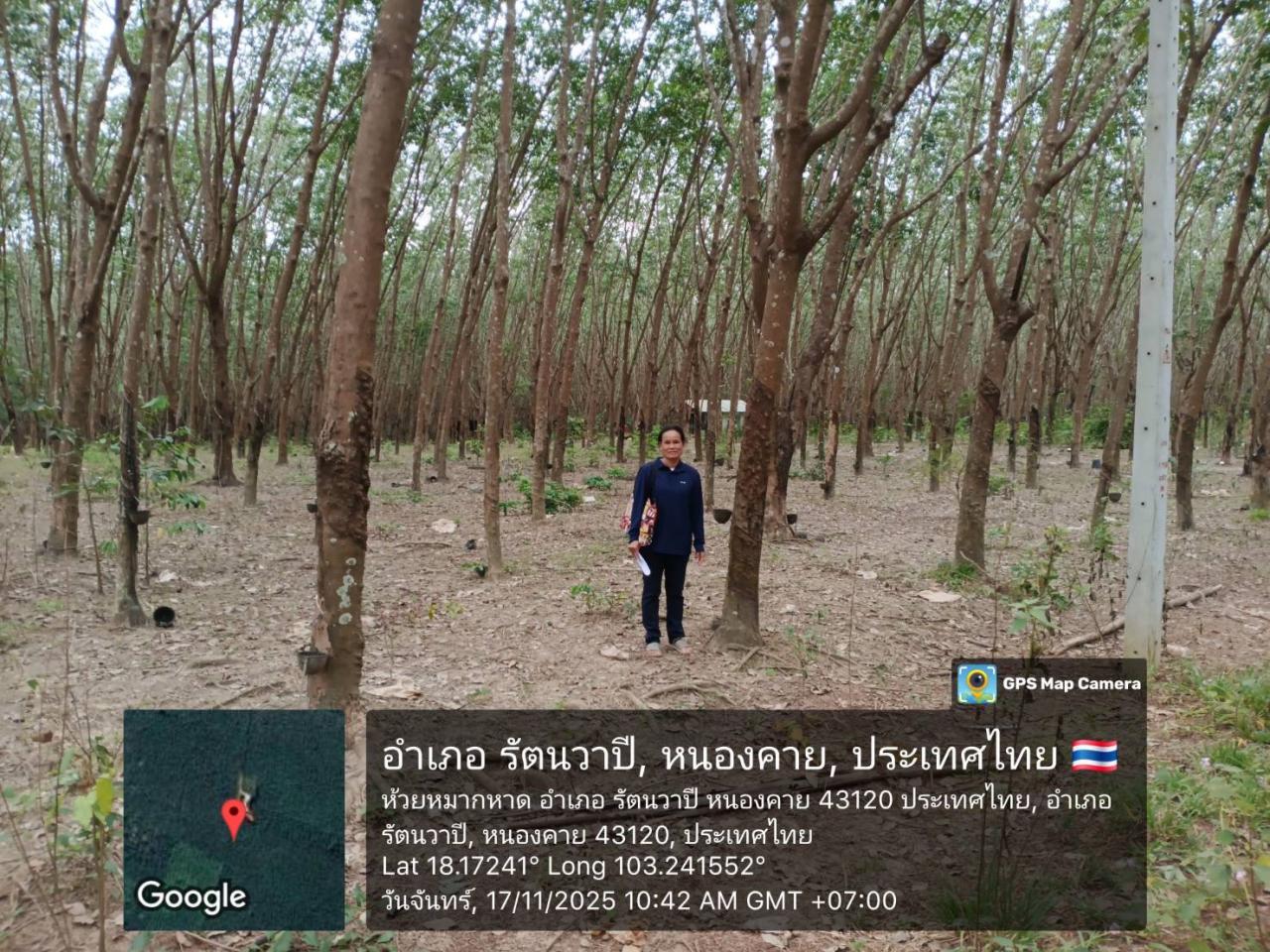 ภาพประกอบที่ 9