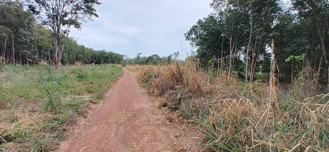 ภาพประกอบที่ 12