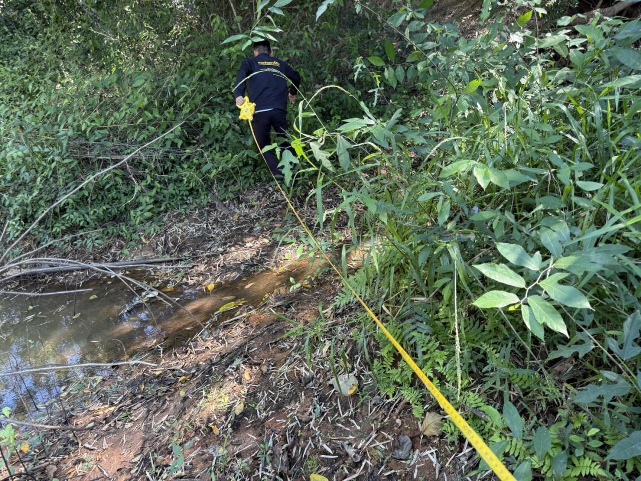 ภาพประกอบที่ 1