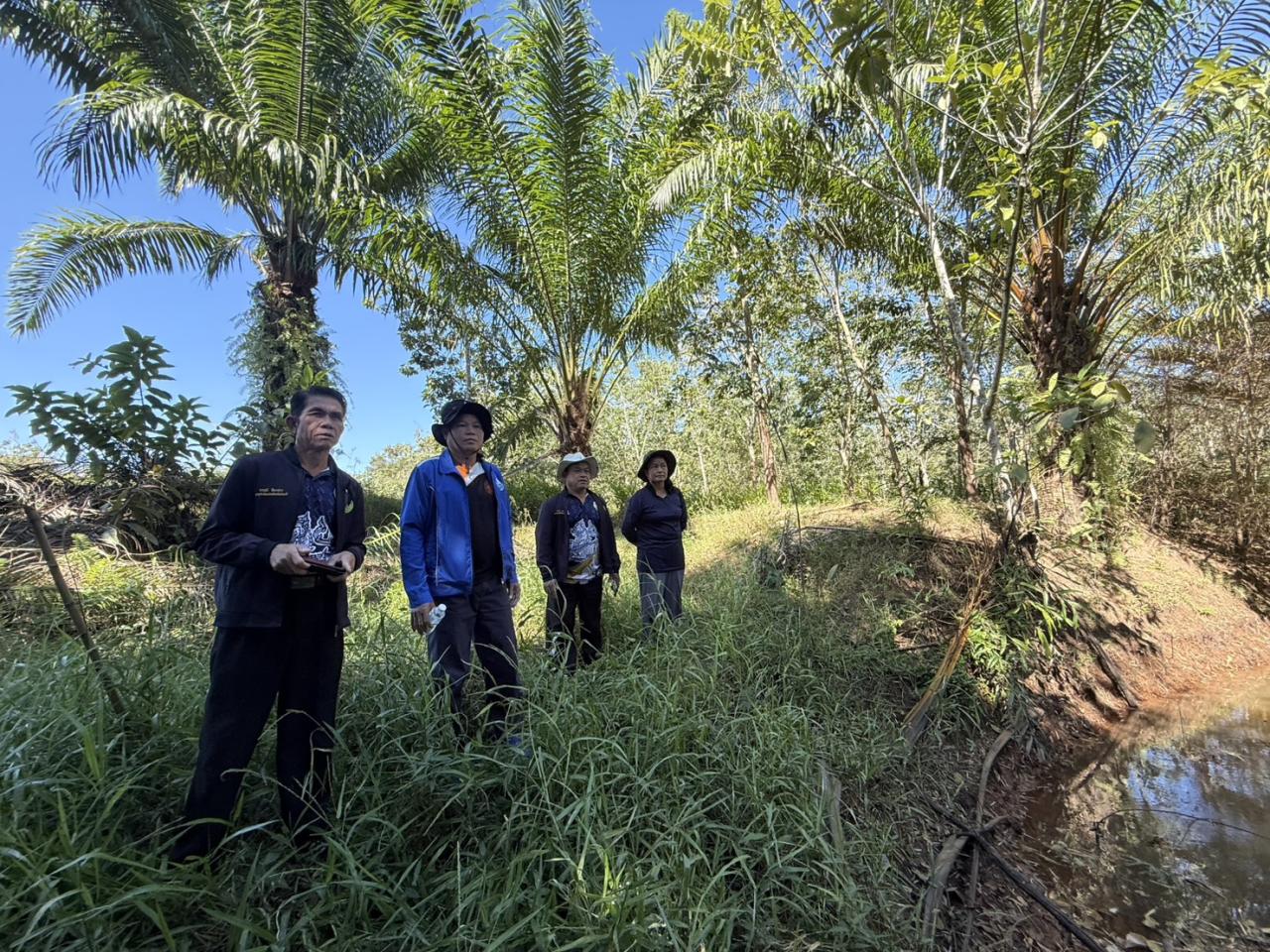 ภาพประกอบที่ 2
