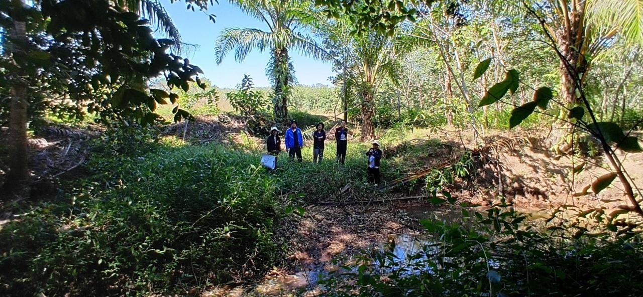 ภาพประกอบที่ 3