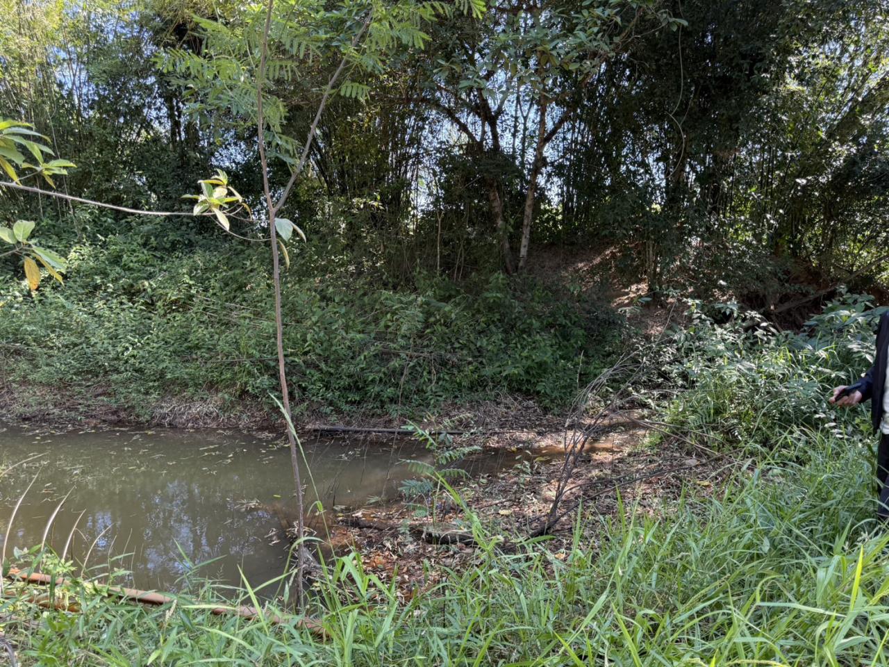 ภาพประกอบที่ 5