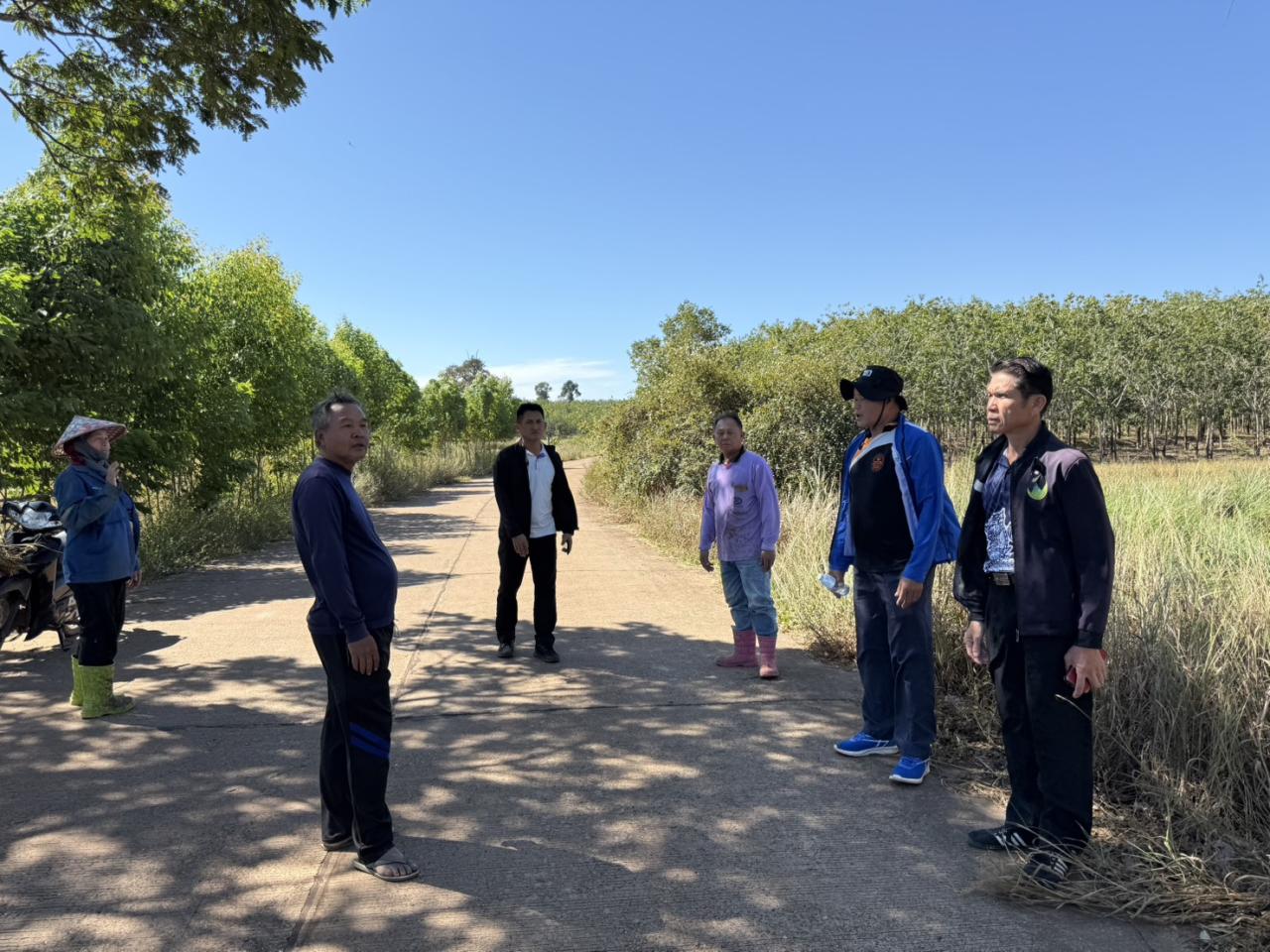 ภาพประกอบที่ 7