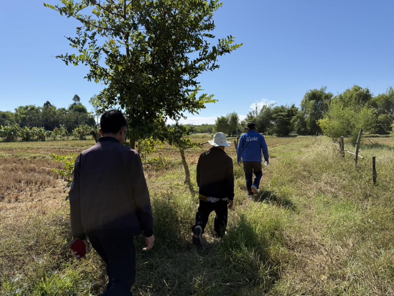 ภาพประกอบที่ 12