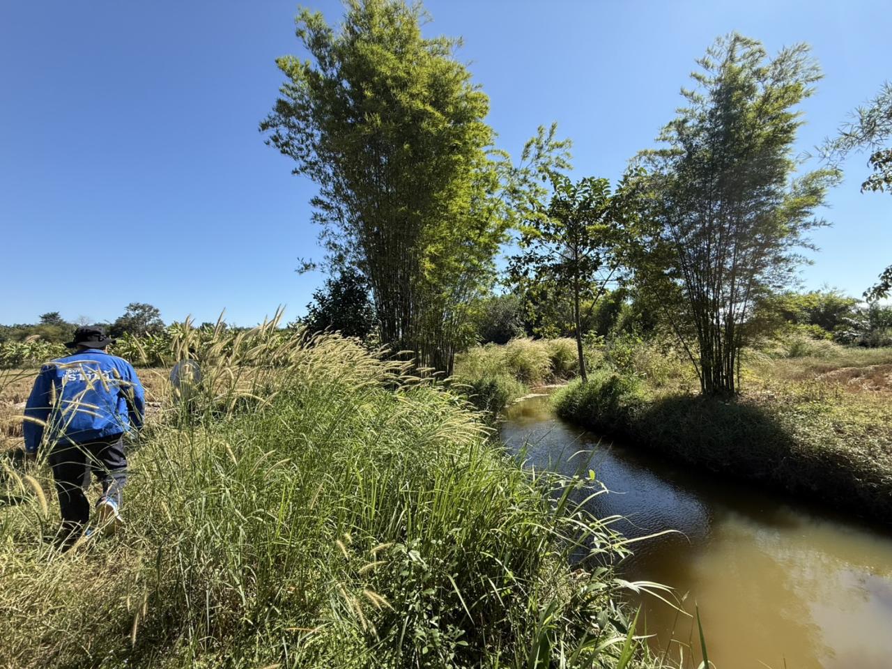 ภาพประกอบที่ 13