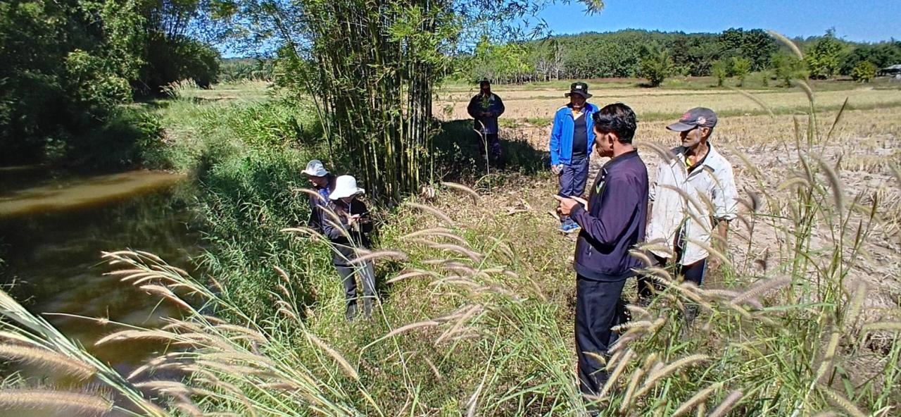 ภาพประกอบที่ 14