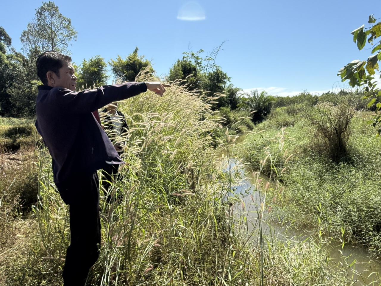 ภาพประกอบที่ 15