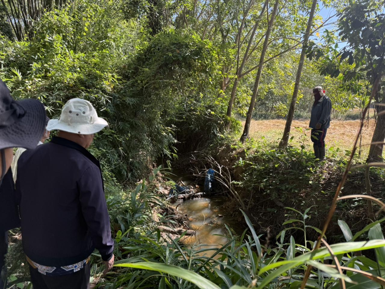 ภาพประกอบที่ 17