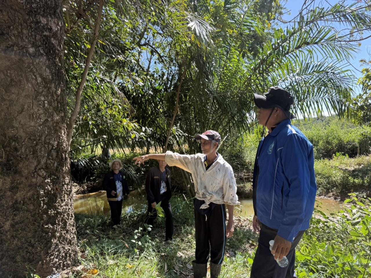 ภาพประกอบที่ 19