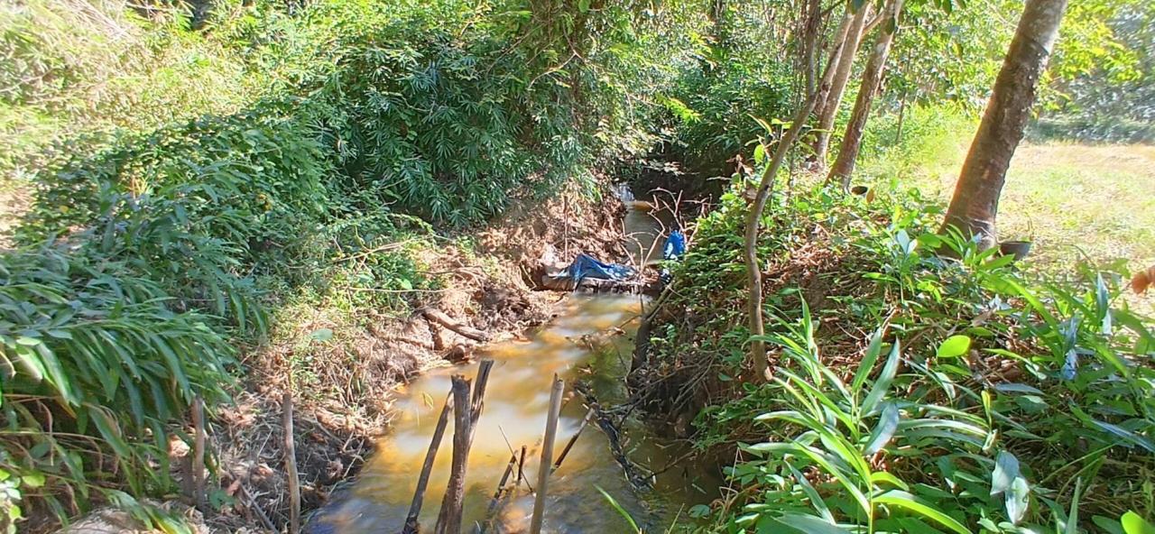 ภาพประกอบที่ 20