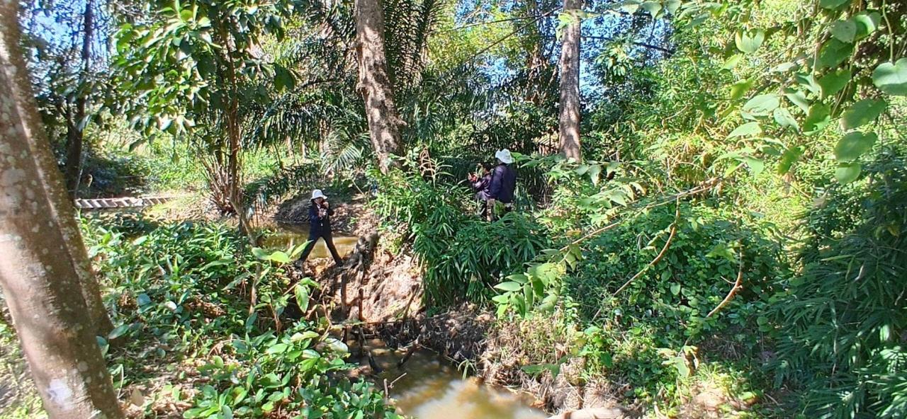 ภาพประกอบที่ 21