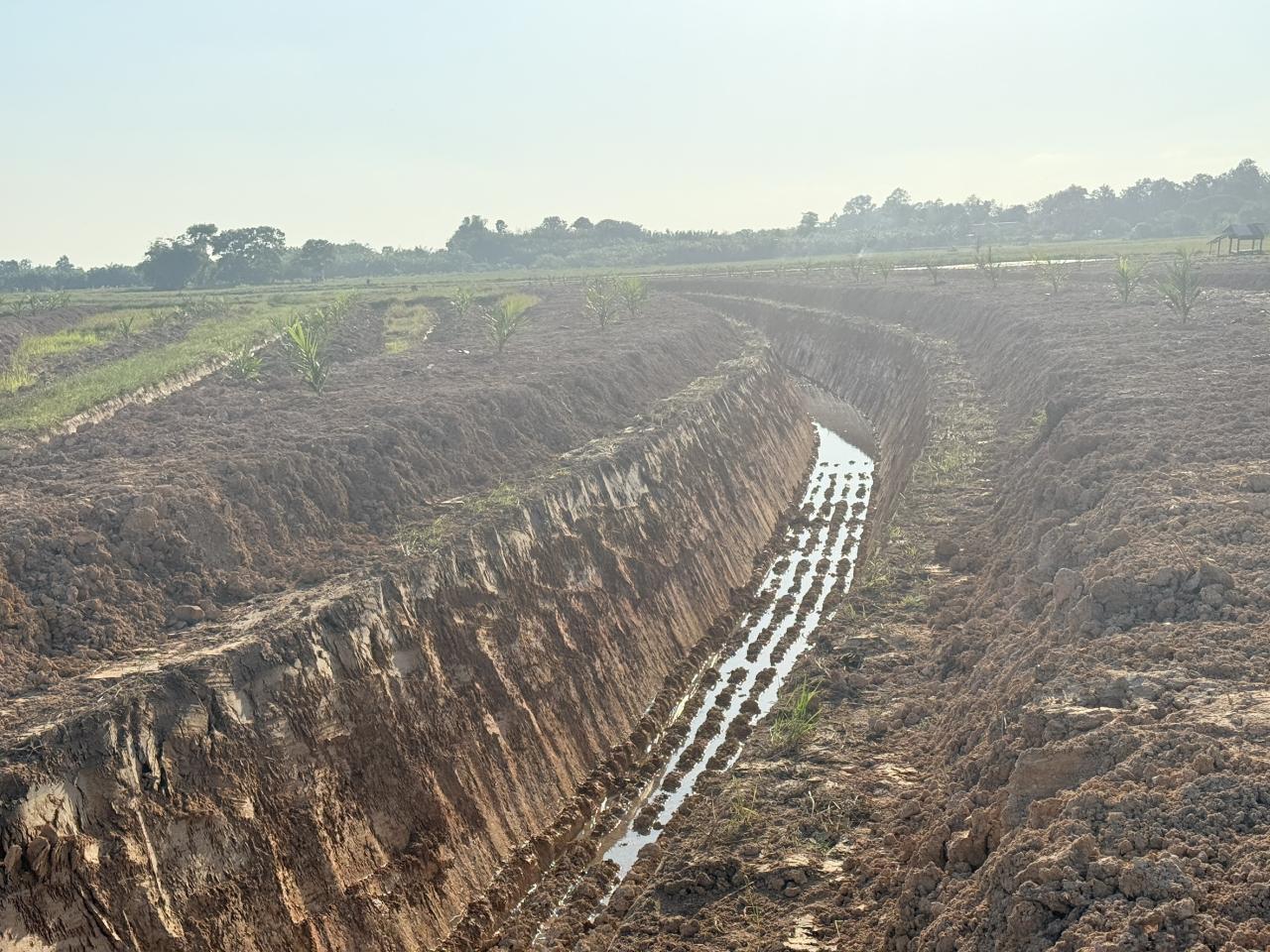 ภาพประกอบที่ 6