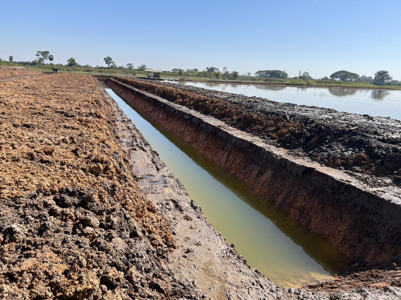 ภาพประกอบที่ 8