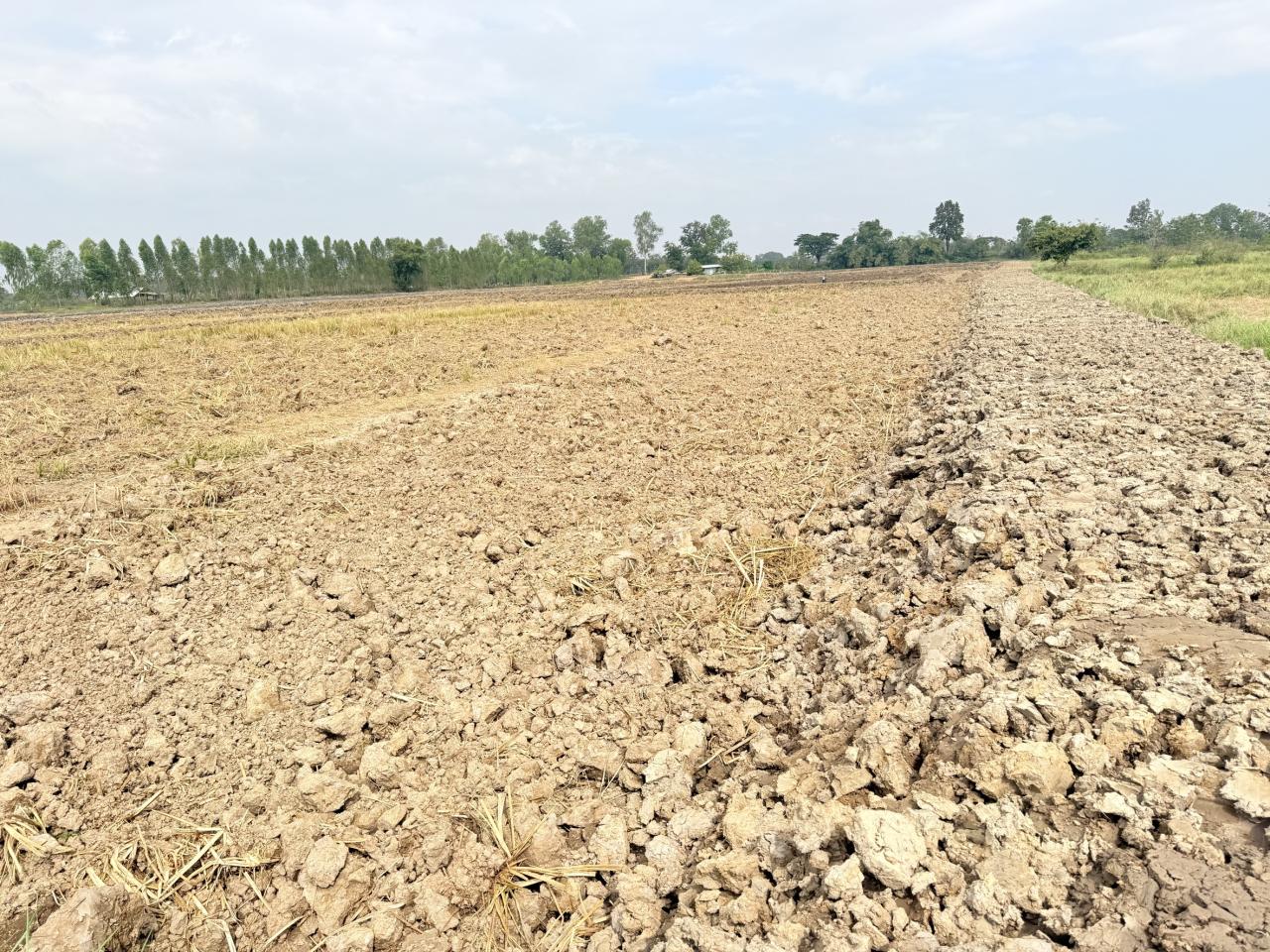 ภาพประกอบที่ 6