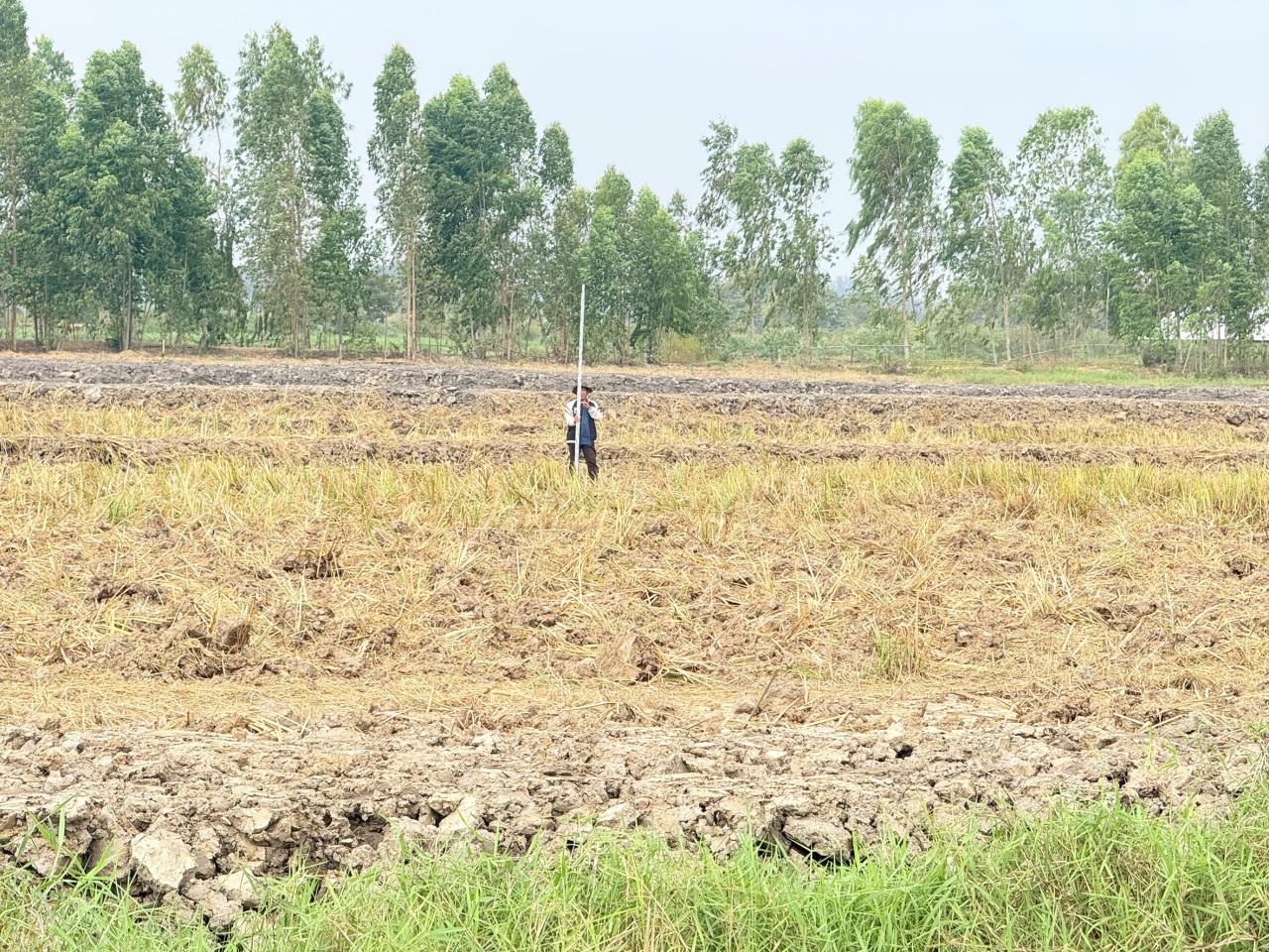 ภาพประกอบที่ 8