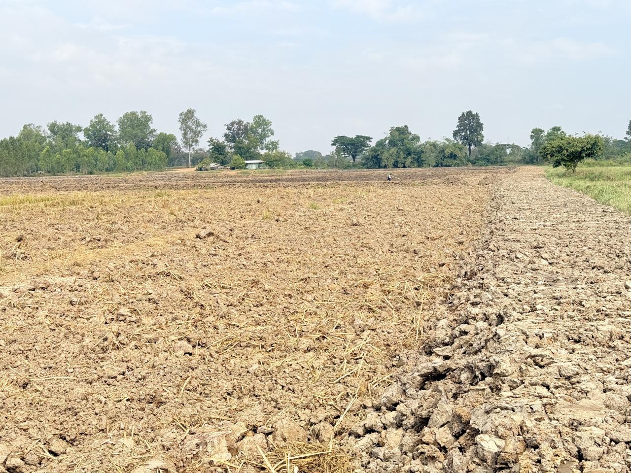 ภาพประกอบที่ 9