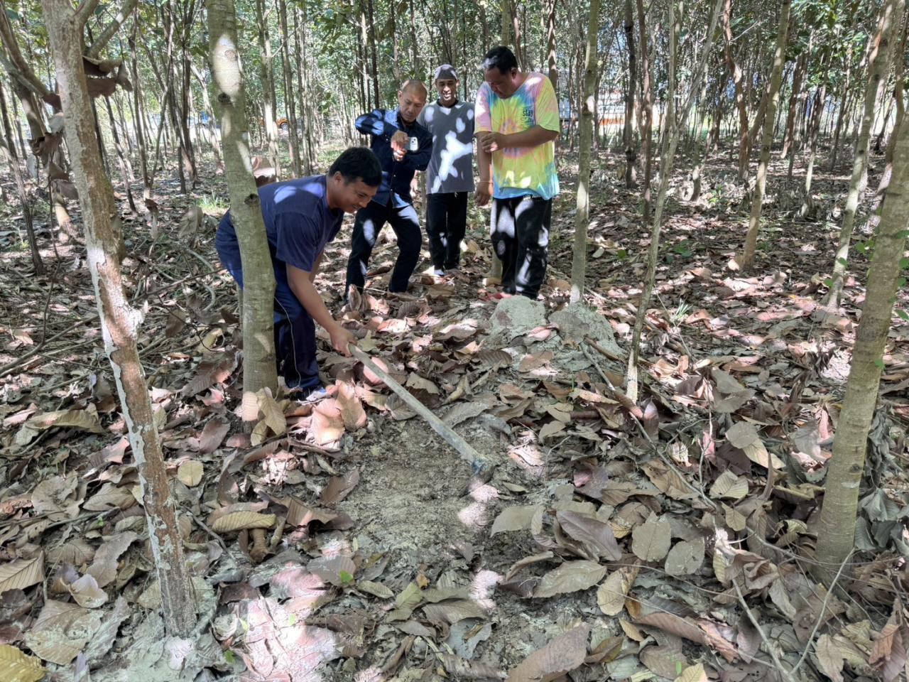 ภาพประกอบที่ 0