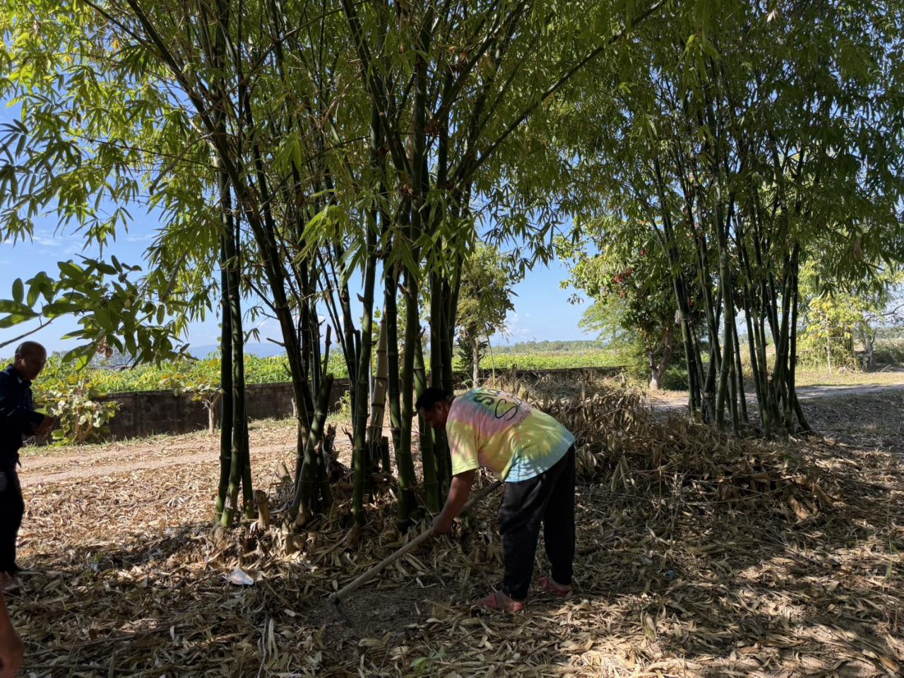 ภาพประกอบที่ 1