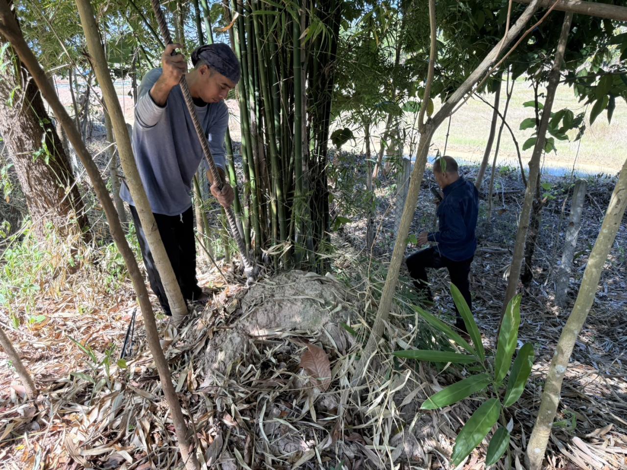 ภาพประกอบที่ 2