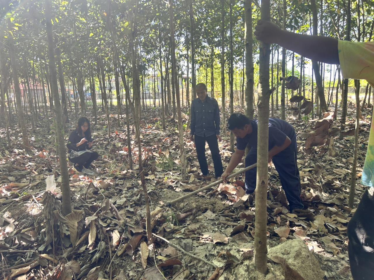 ภาพประกอบที่ 3