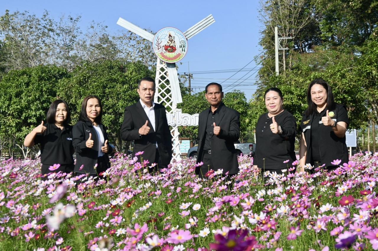 ภาพประกอบที่ 15