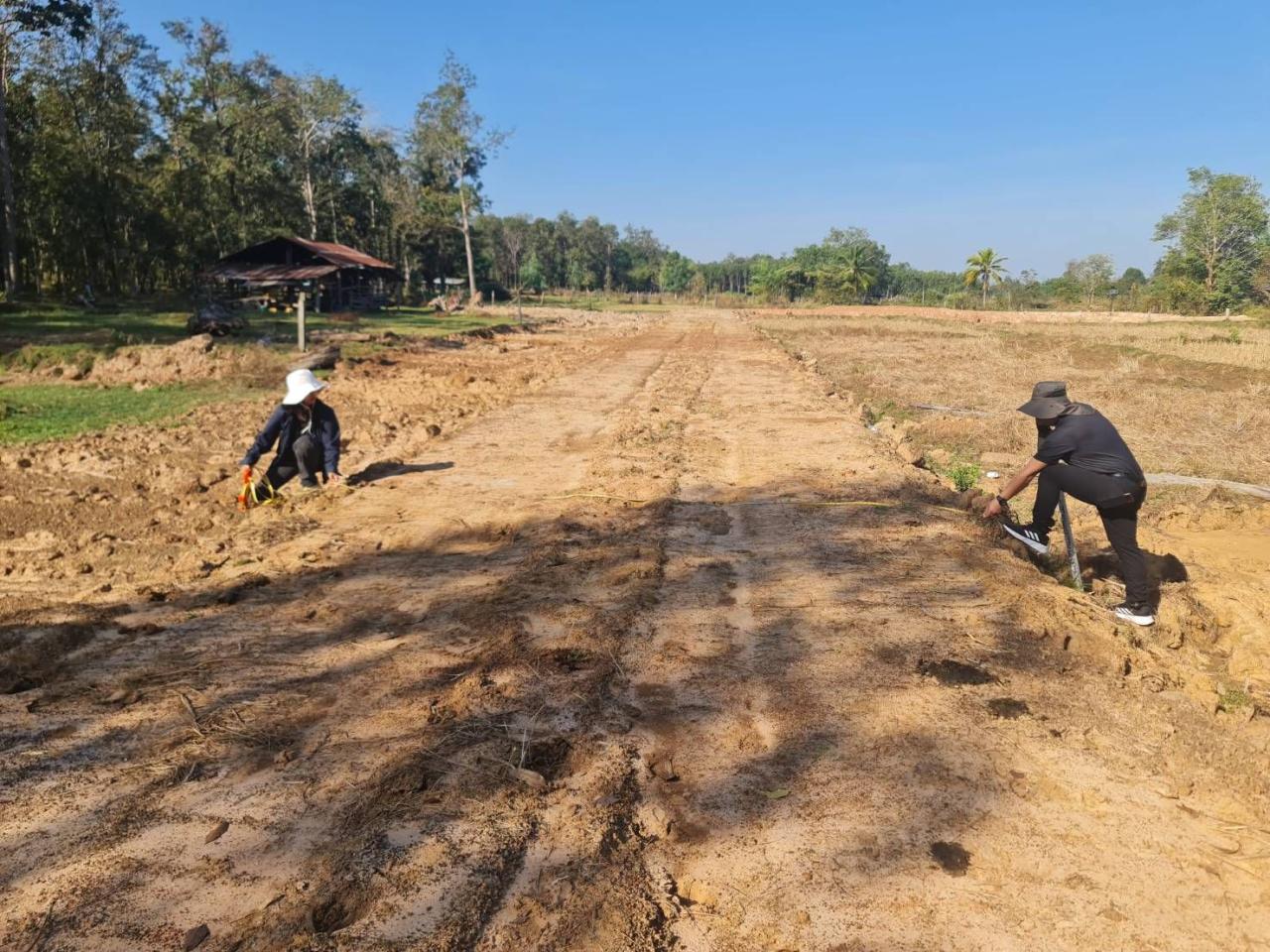 ภาพประกอบที่ 2