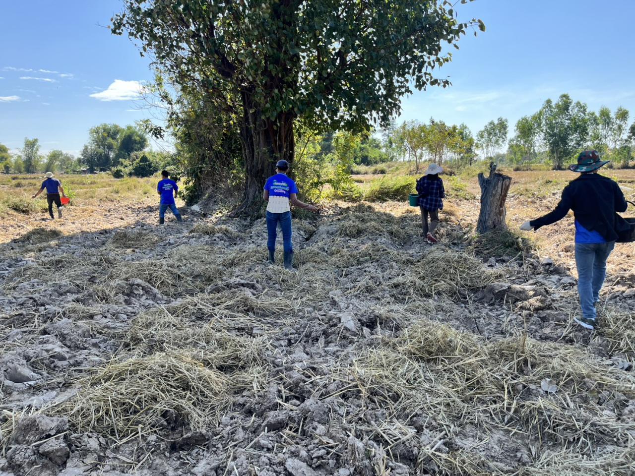 ภาพประกอบที่ 3