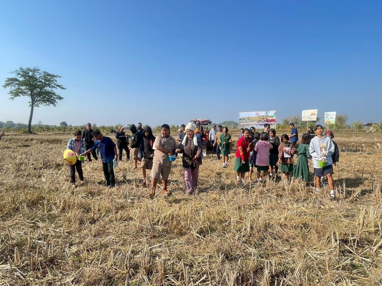 ภาพประกอบที่ 5