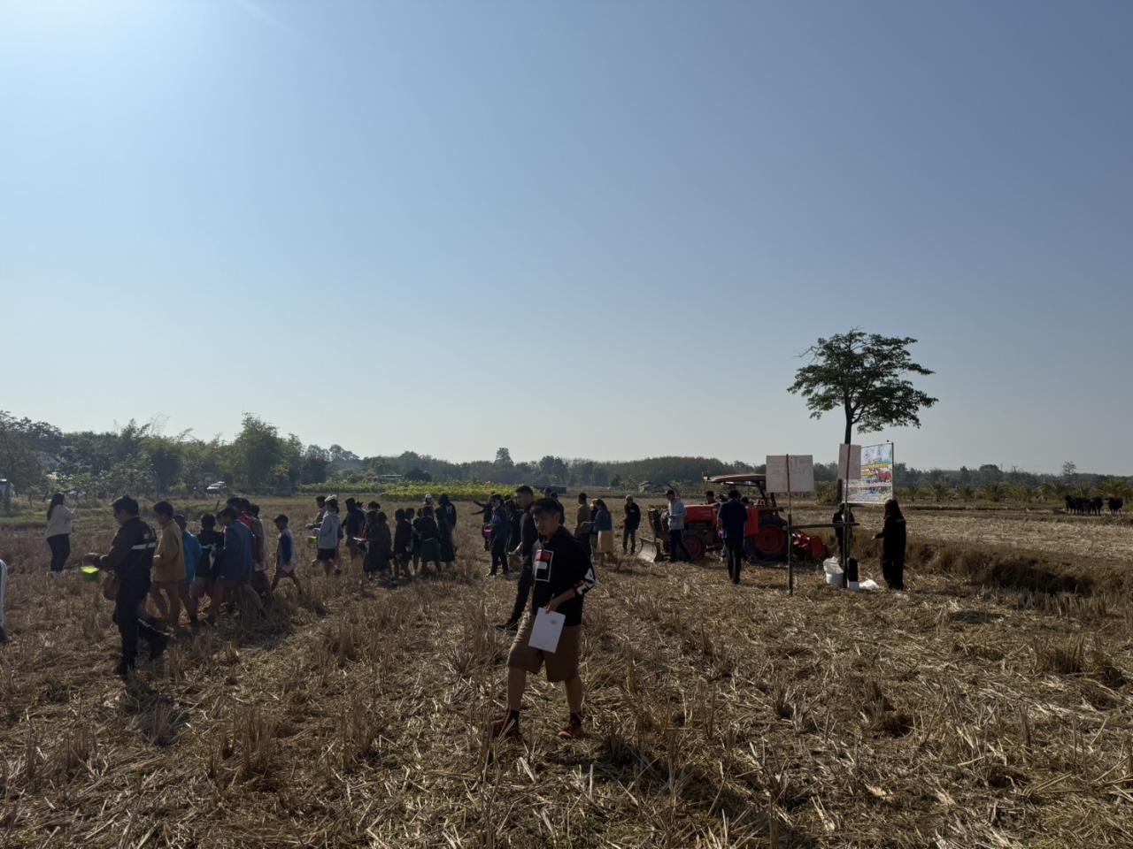 ภาพประกอบที่ 12