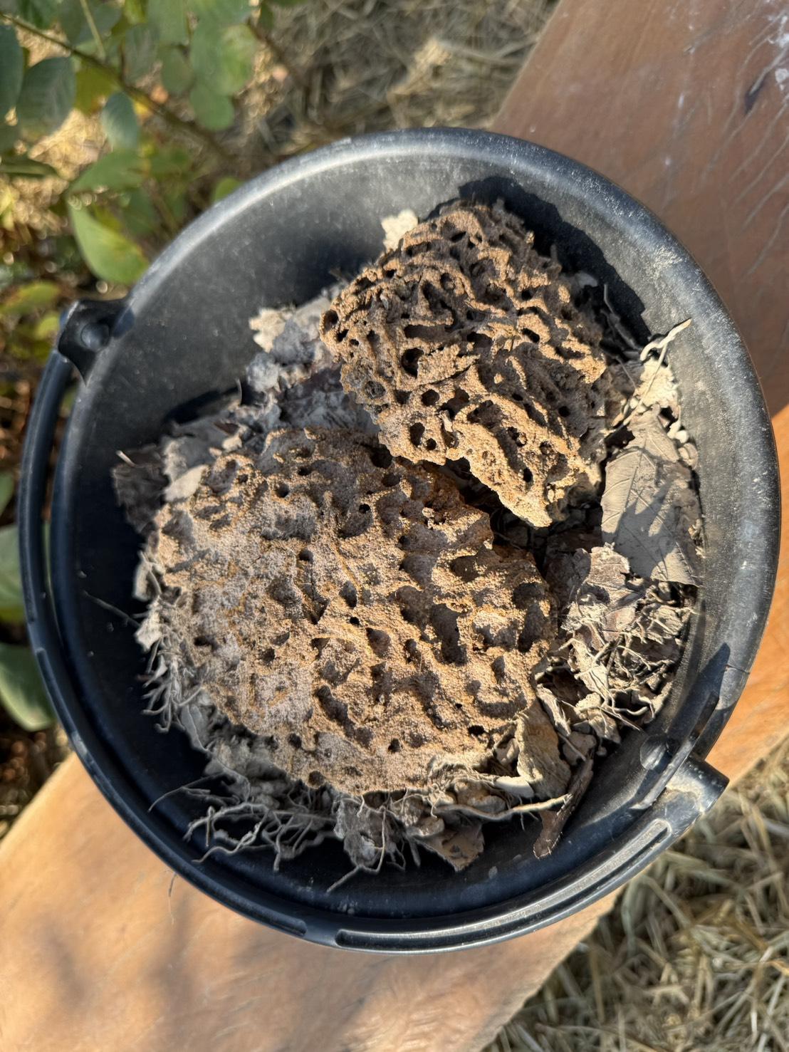 ภาพประกอบที่ 27