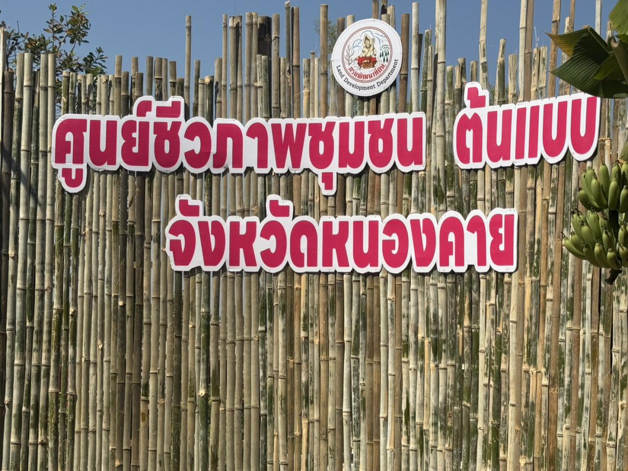 ภาพประกอบที่ 31