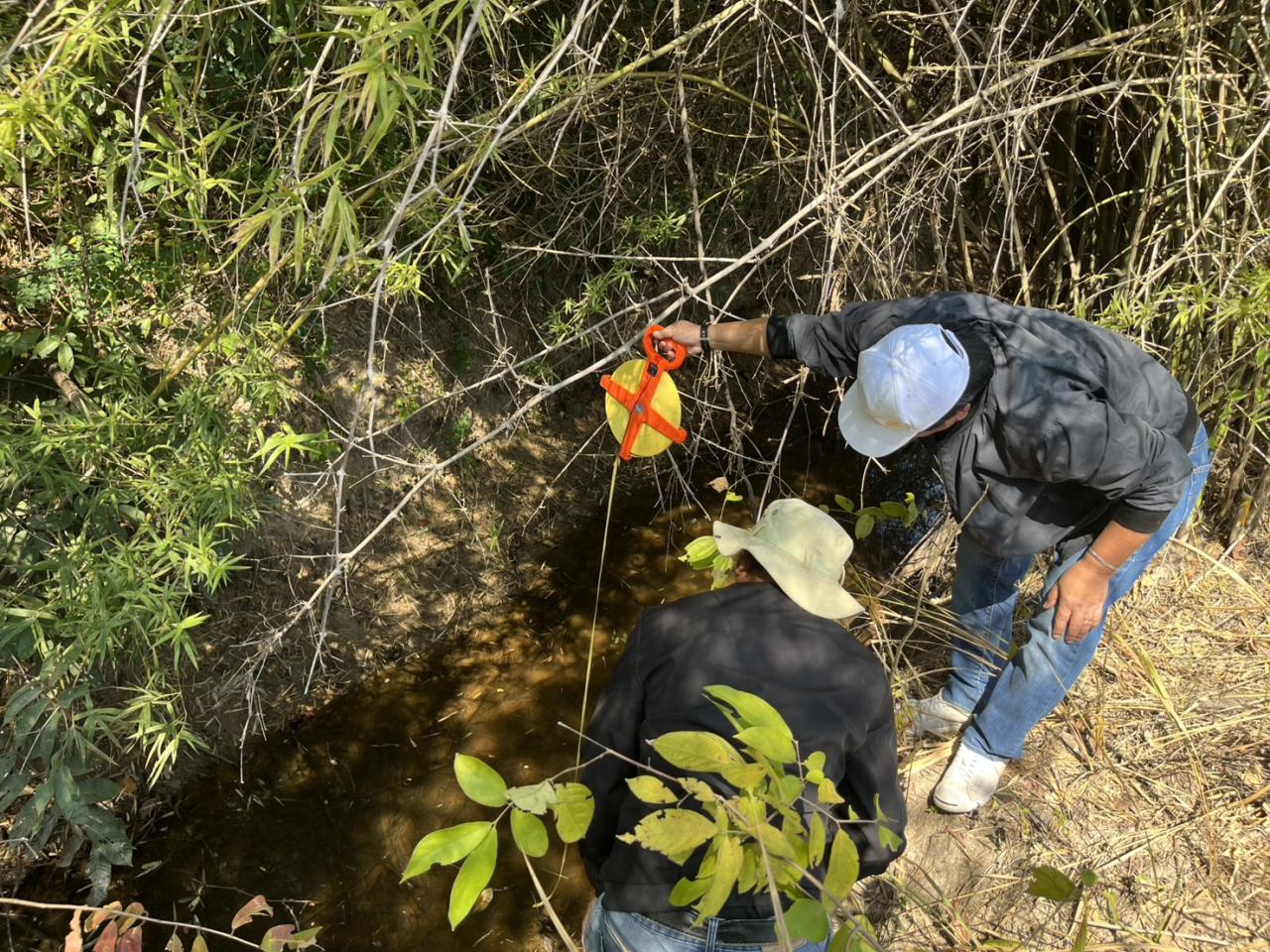 ภาพประกอบที่ 2