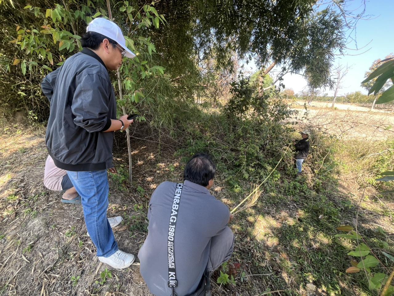 ภาพประกอบที่ 6