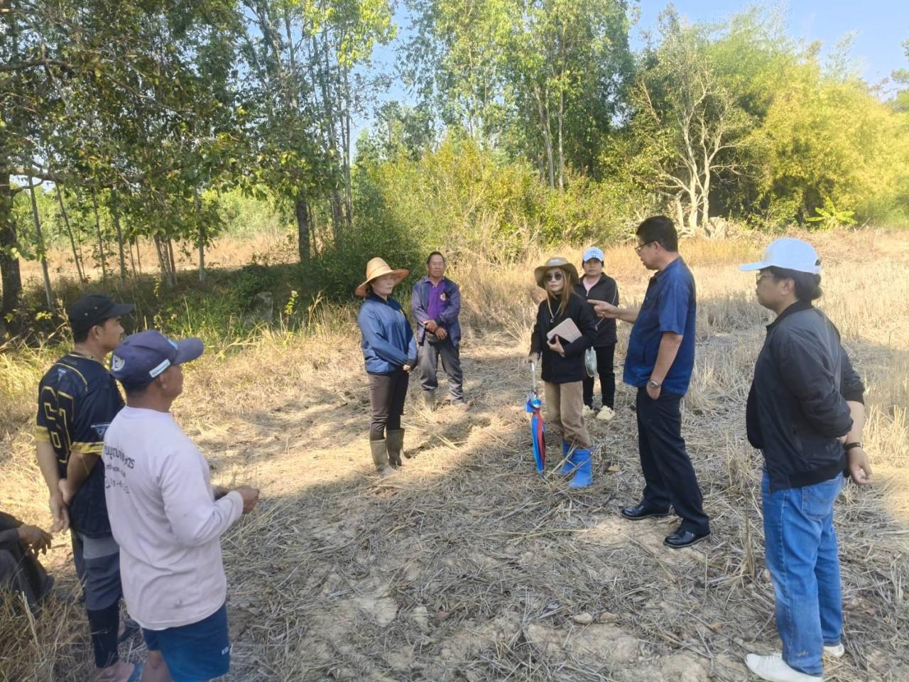 ภาพประกอบที่ 11