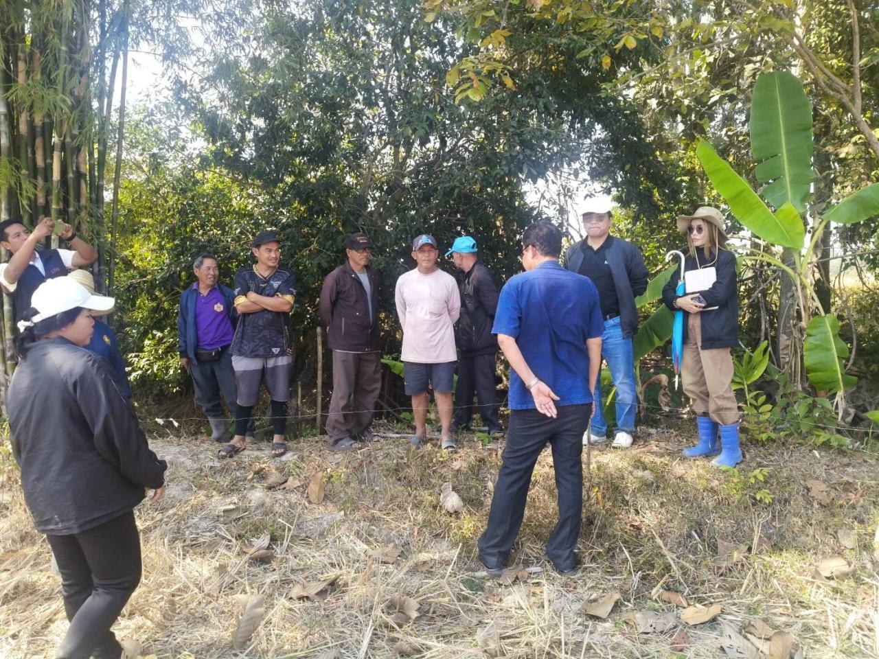 ภาพประกอบที่ 12