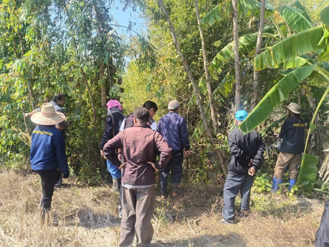 ภาพประกอบที่ 13