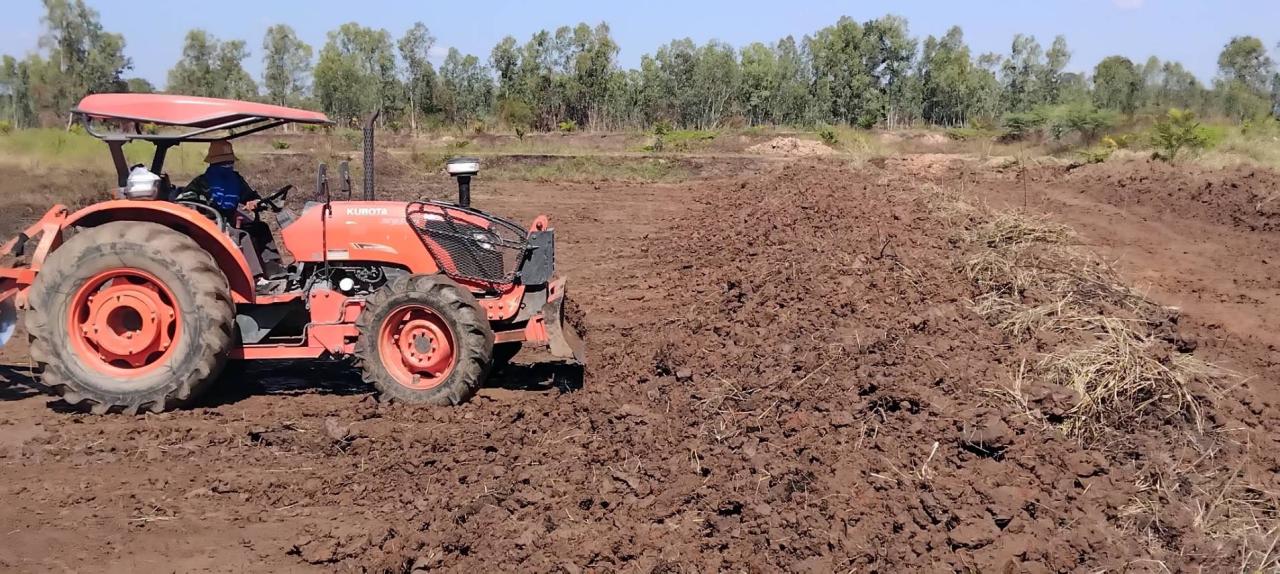 ภาพประกอบที่ 7