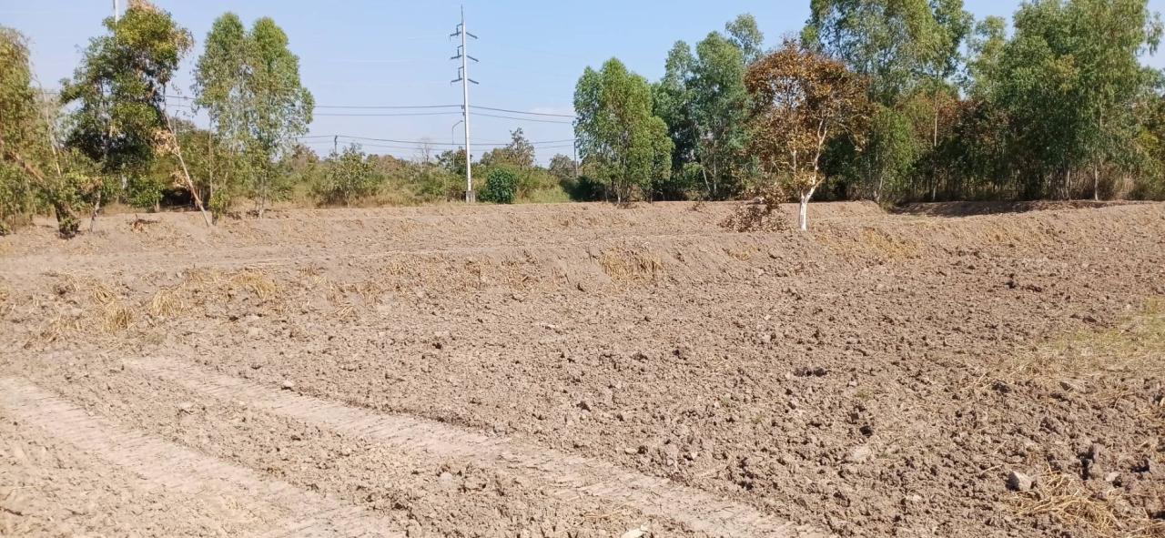 ภาพประกอบที่ 8