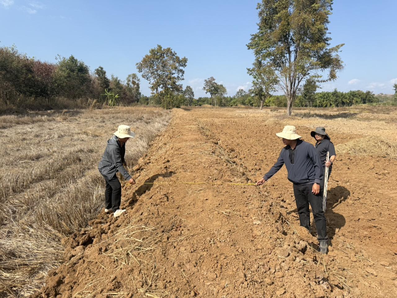 ภาพประกอบที่ 15