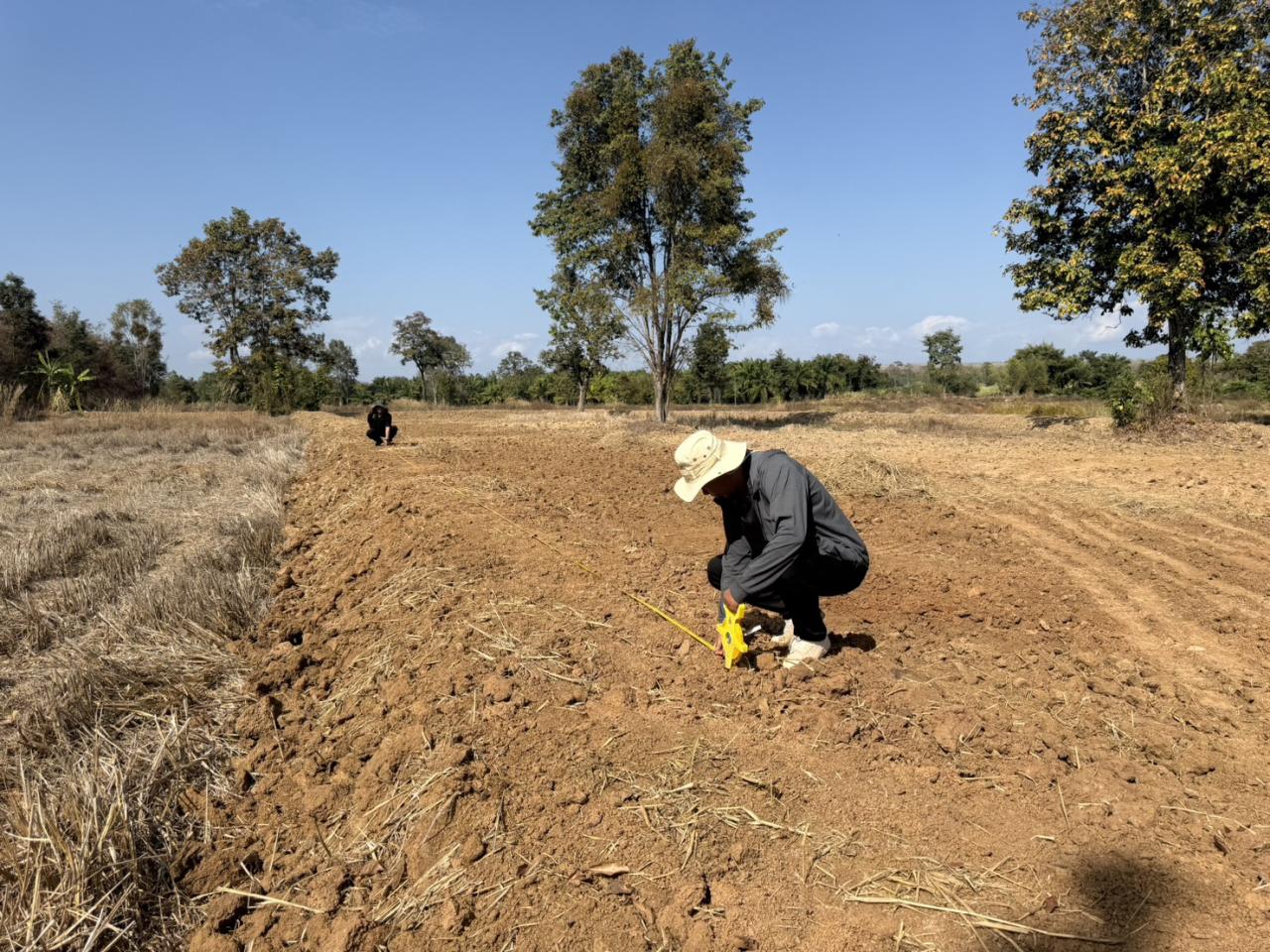 ภาพประกอบที่ 17