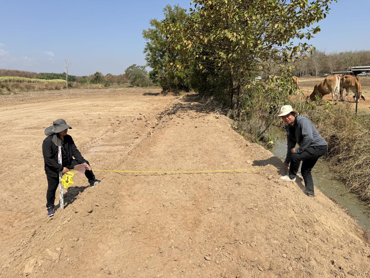 ภาพประกอบที่ 2