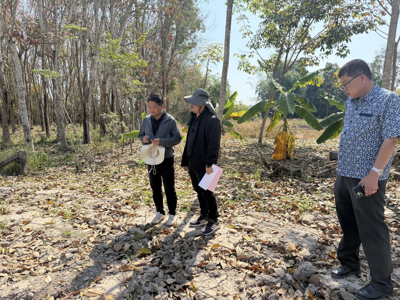 ภาพประกอบที่ 5