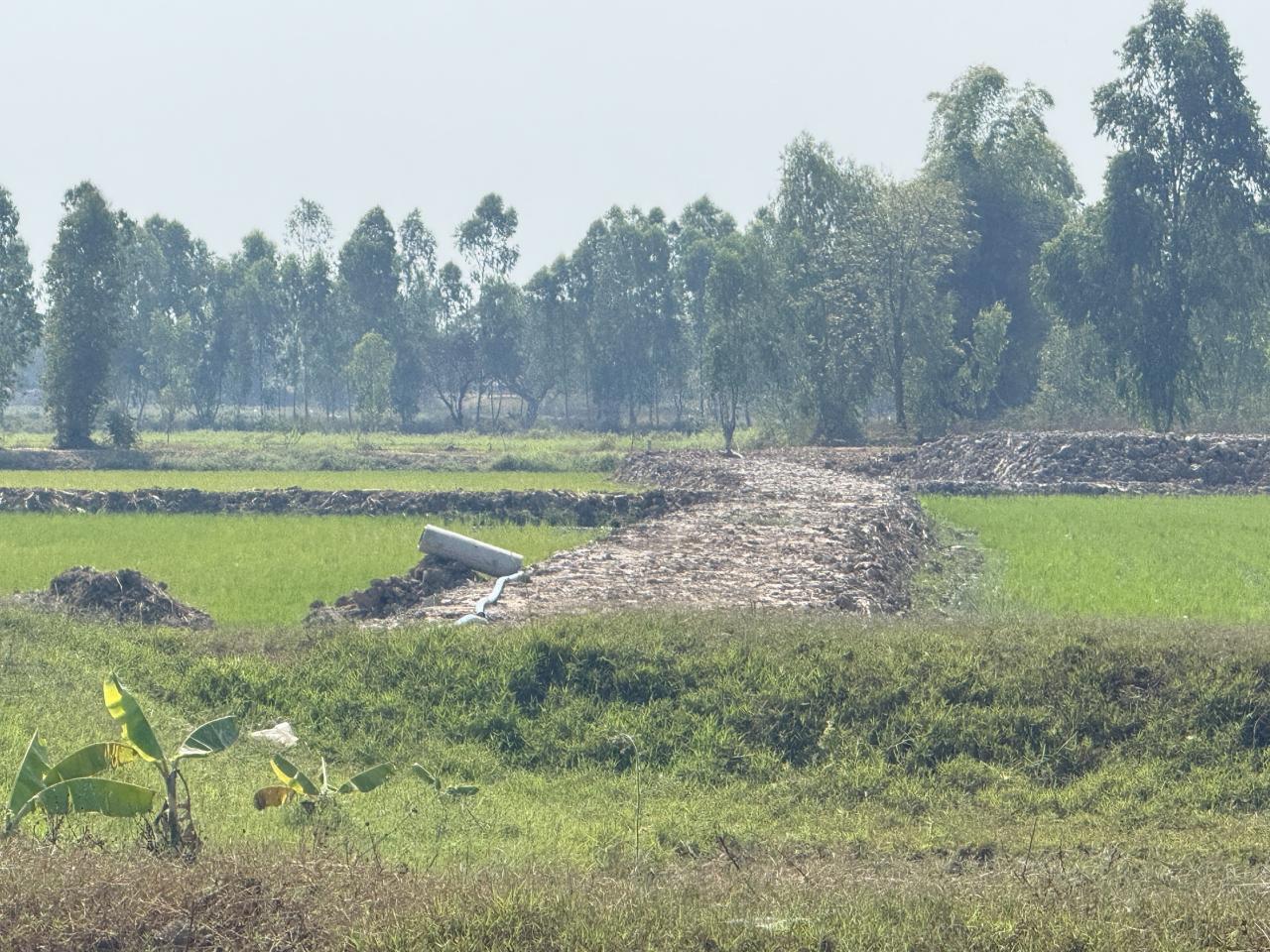 ภาพประกอบที่ 7