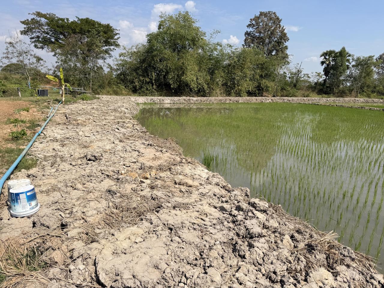 ภาพประกอบที่ 8