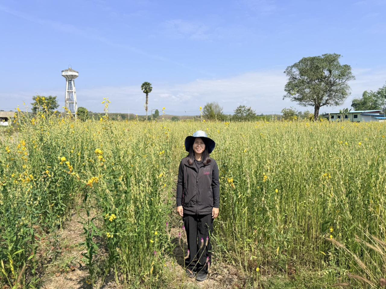 ภาพประกอบที่ 3