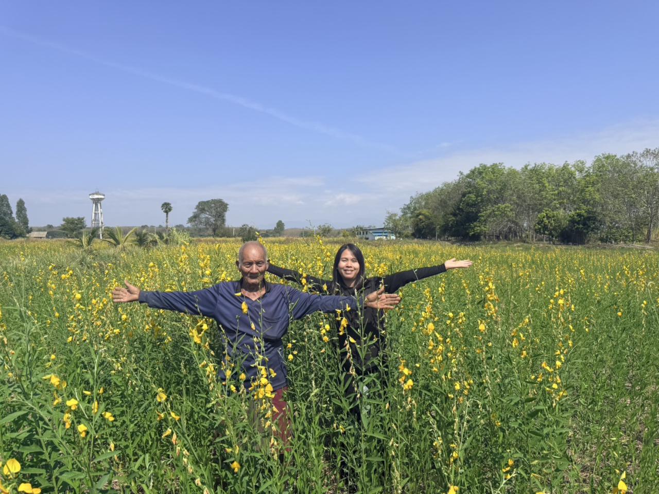 ภาพประกอบที่ 4