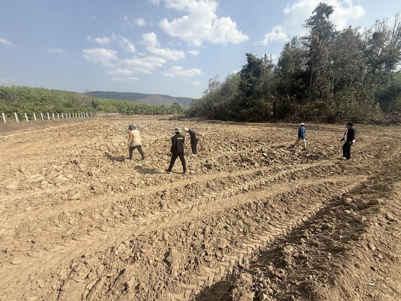 ภาพประกอบที่ 5